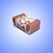 Recyclable Corrugated Plastic Storage Boxes Corflute Storage Boxes